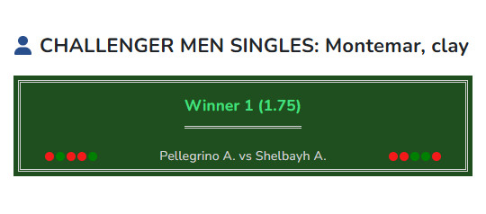 Pellegrino vs Shelbayh